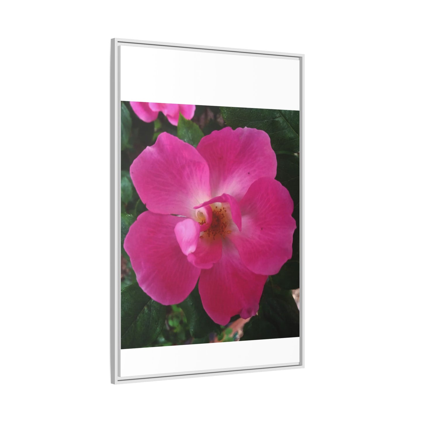 Framed Floral Canvas Art Print | Vibrant Pink Flower Decor, Wall Art for Home, Gift for Her, Mother's Day, Birthday