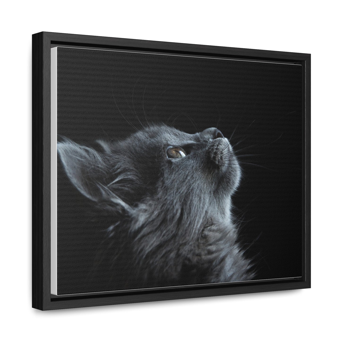 Gallery Canvas Wraps, Horizontal Frame