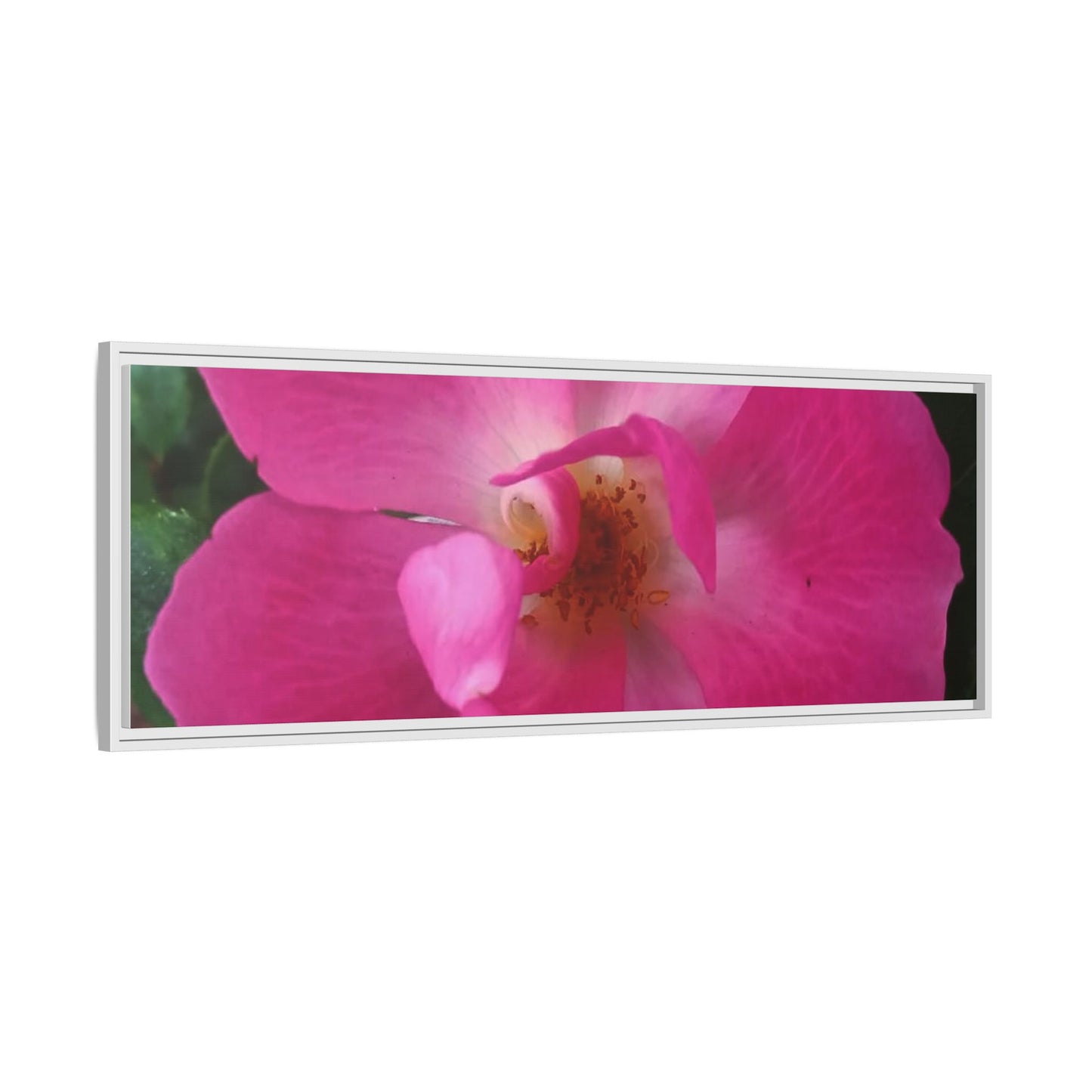 Framed Floral Canvas Art Print | Vibrant Pink Flower Decor, Wall Art for Home, Gift for Her, Mother's Day, Birthday