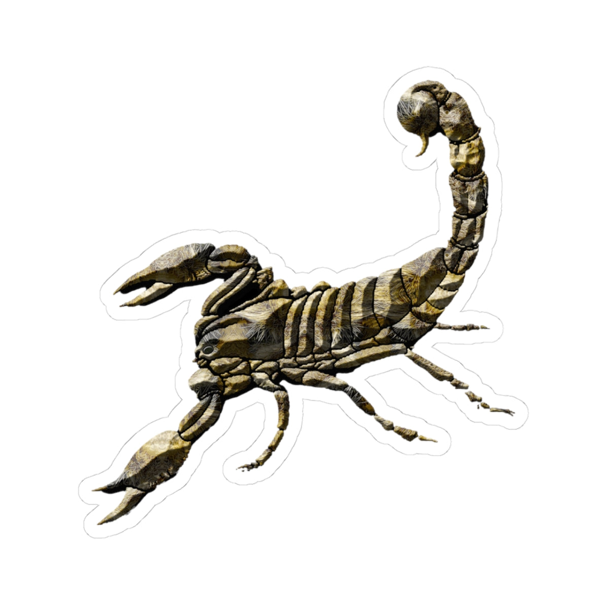 Scorpion Sticker