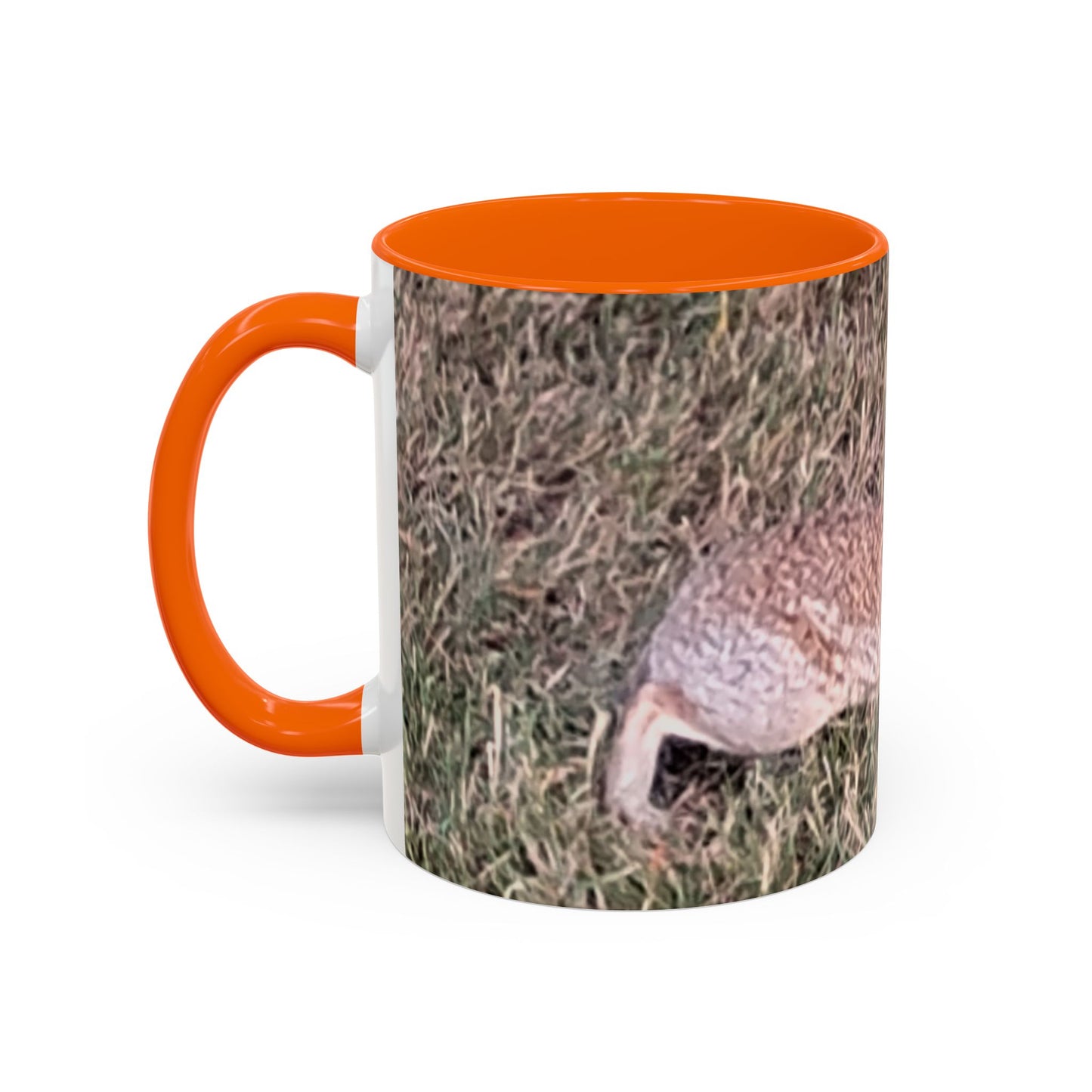 Rabbit Accent Coffee Mug (11oz) Such a Wonderful Birthday Gift!