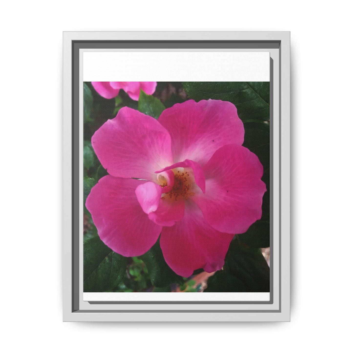 Framed Floral Canvas Art Print | Vibrant Pink Flower Decor, Wall Art for Home, Gift for Her, Mother's Day, Birthday