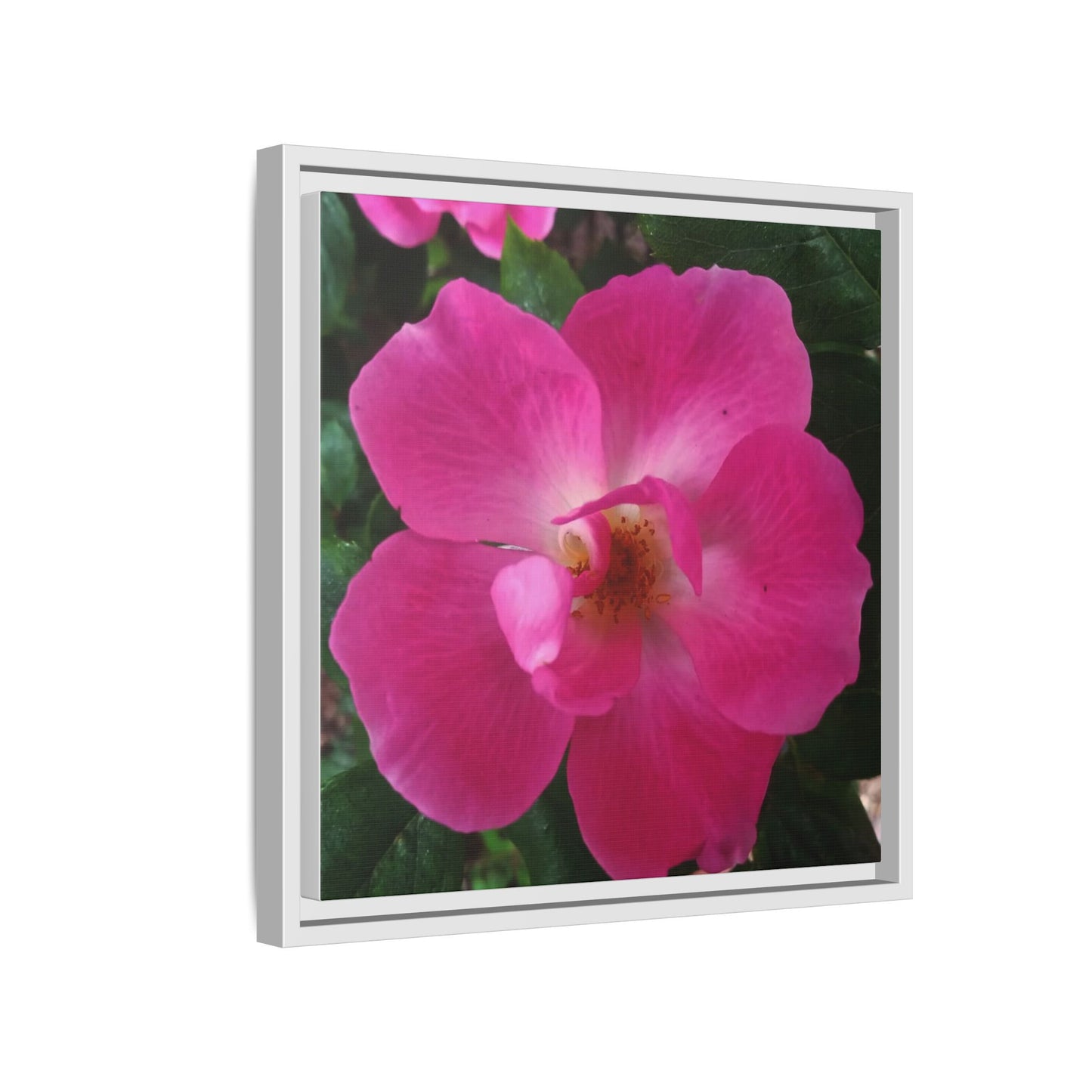 Framed Floral Canvas Art Print | Vibrant Pink Flower Decor, Wall Art for Home, Gift for Her, Mother's Day, Birthday