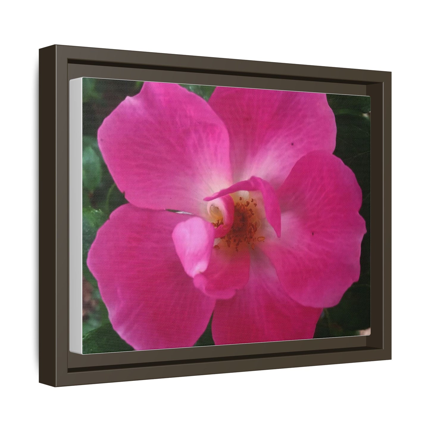 Framed Floral Canvas Art Print | Vibrant Pink Flower Decor, Wall Art for Home, Gift for Her, Mother's Day, Birthday