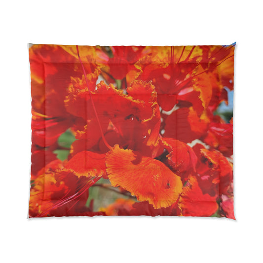 Vibrant Orange Flowers Comforter Oh My Goodness It's Beautiful! Matching Pillows & Towels!