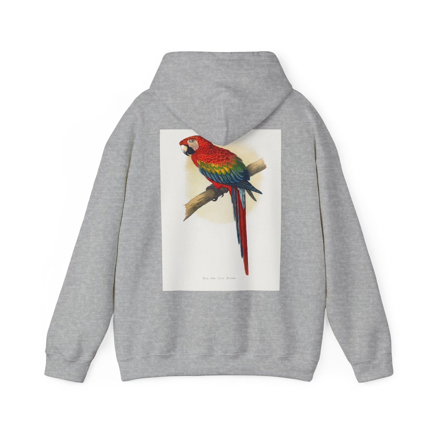 Colorful Parrot & Heart Hoodie - Unisex Heavy Blend Sweatshirt, Tropical Vibe Apparel, Perfect for Animal Lovers, Gift for Birthdays and Holidays