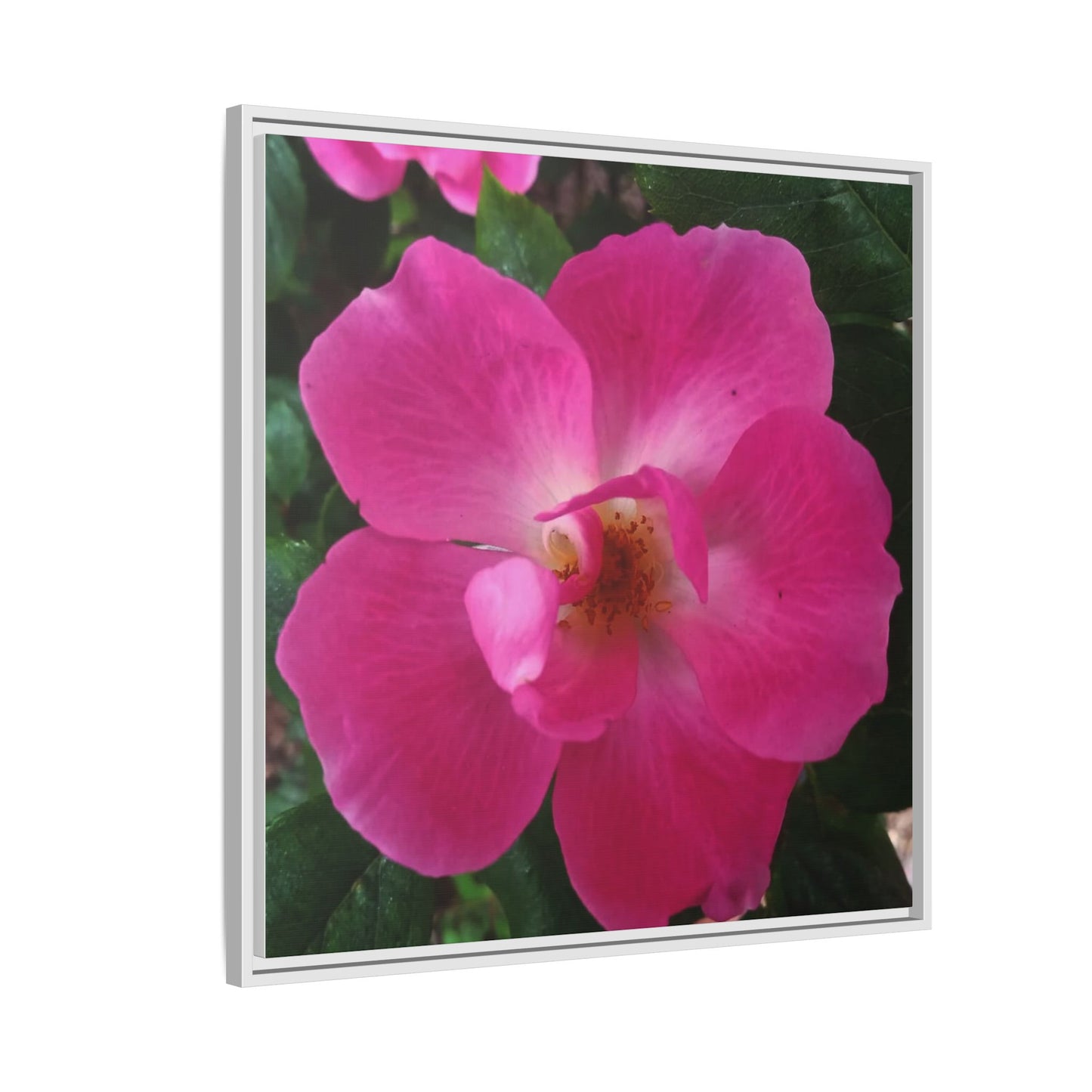 Framed Floral Canvas Art Print | Vibrant Pink Flower Decor, Wall Art for Home, Gift for Her, Mother's Day, Birthday