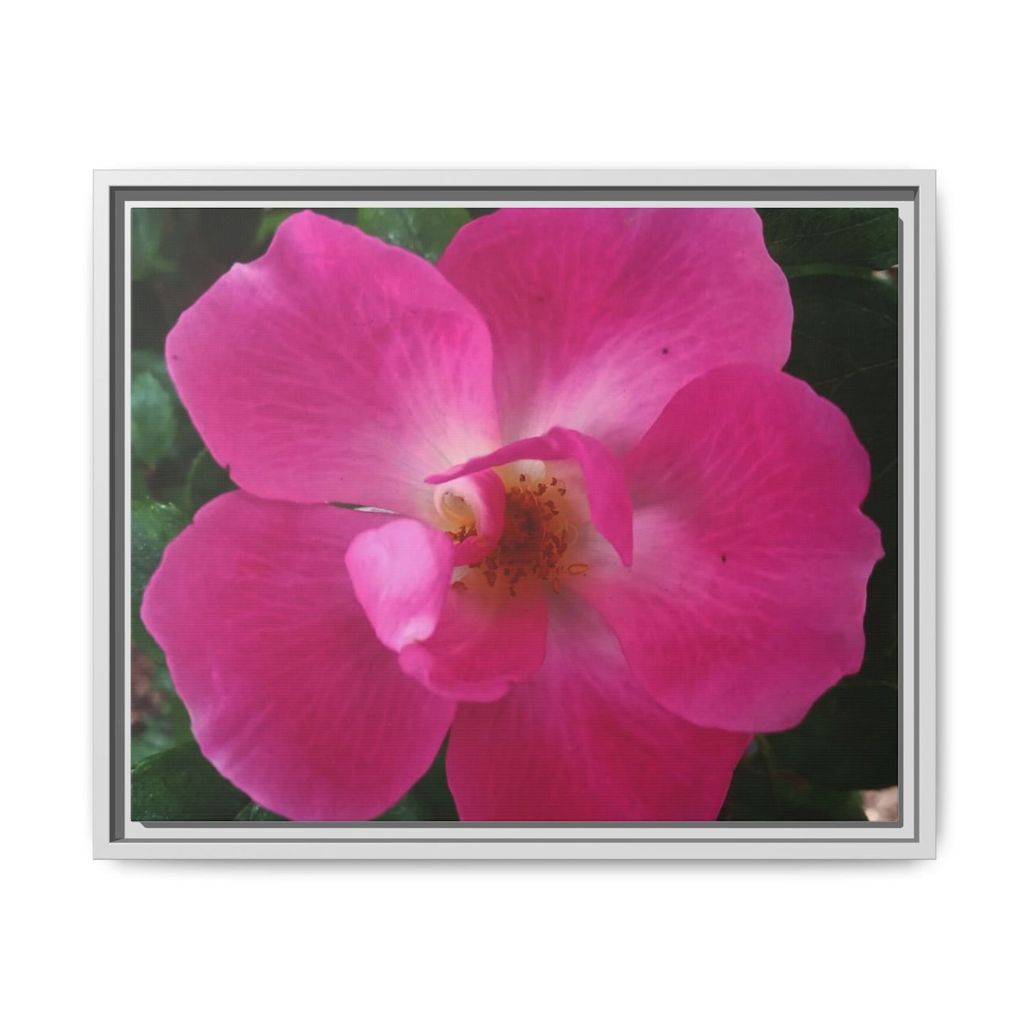 Framed Floral Canvas Art Print | Vibrant Pink Flower Decor, Wall Art for Home, Gift for Her, Mother's Day, Birthday