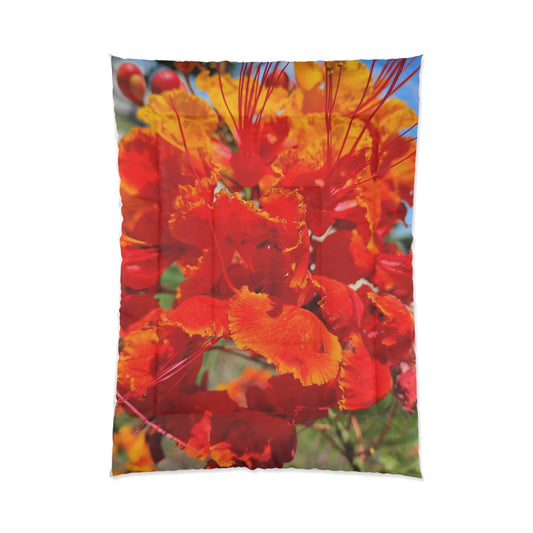 Vibrant Orange Flowers Comforter Oh My Goodness It's Beautiful! Matching Pillows & Towels!