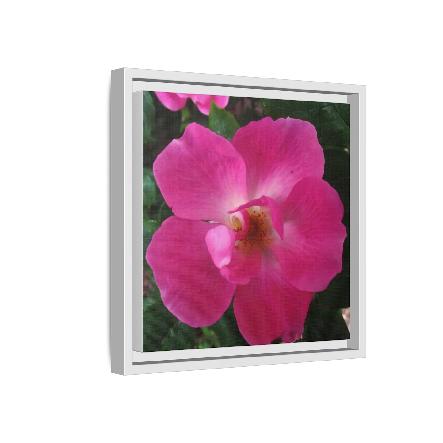 Framed Floral Canvas Art Print | Vibrant Pink Flower Decor, Wall Art for Home, Gift for Her, Mother's Day, Birthday