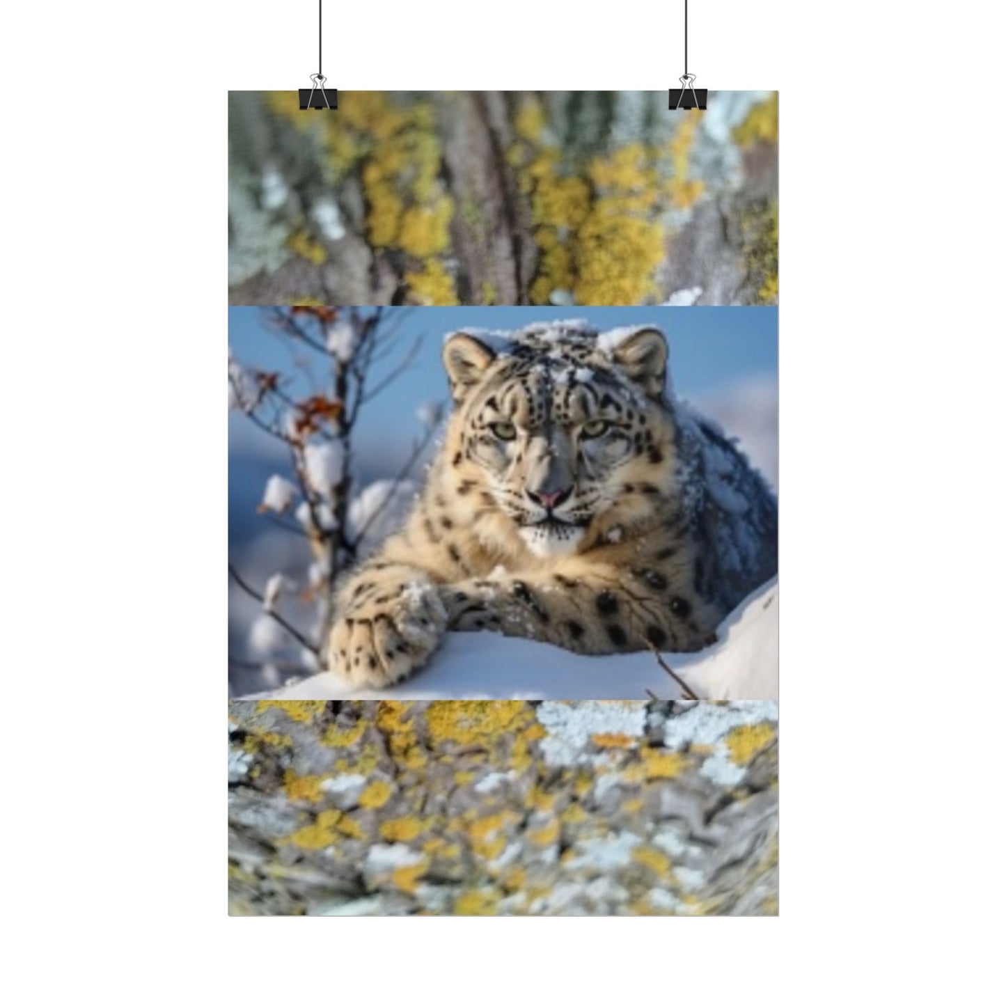 Wildlife Rolled Posters Looks Fabulous in every Room!