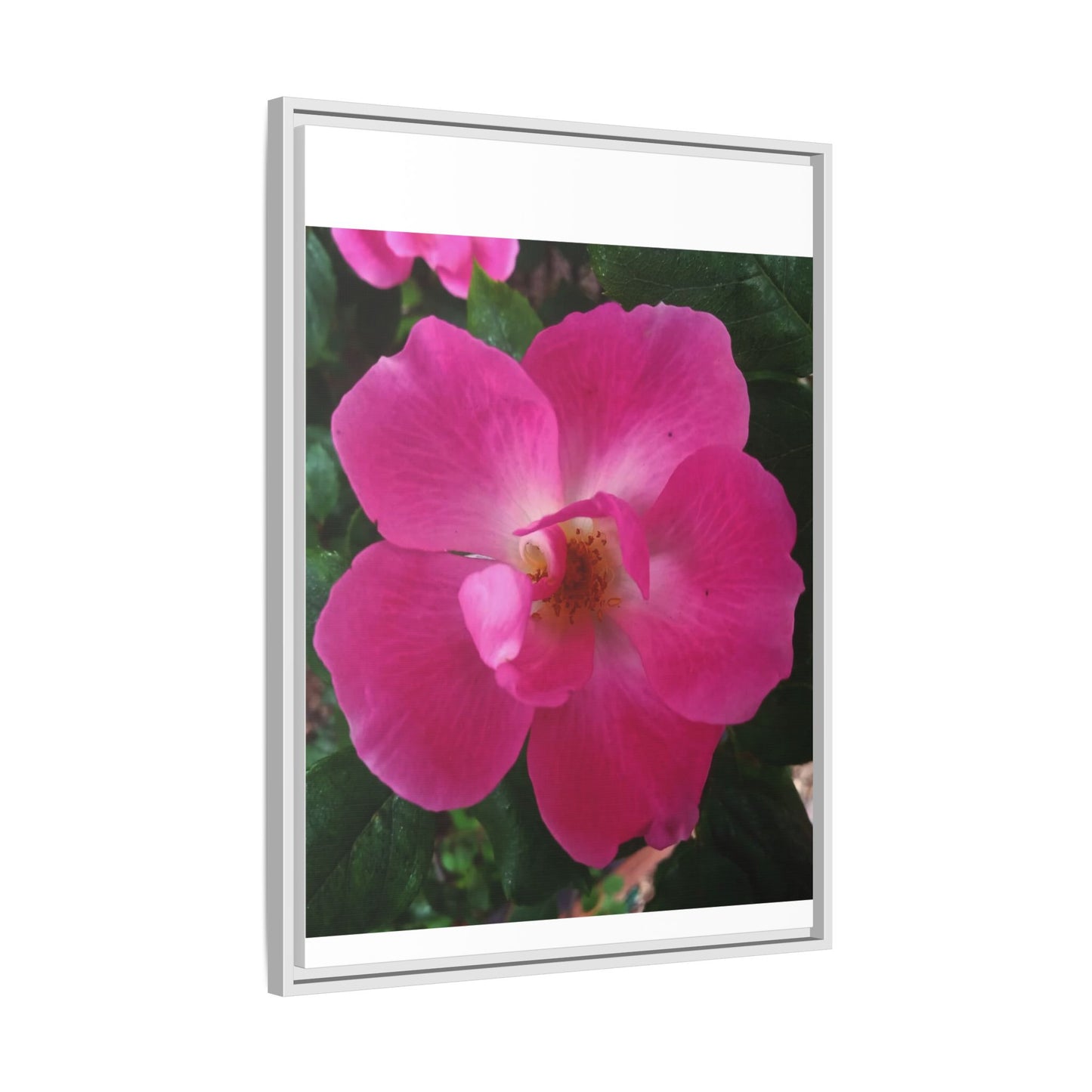Framed Floral Canvas Art Print | Vibrant Pink Flower Decor, Wall Art for Home, Gift for Her, Mother's Day, Birthday