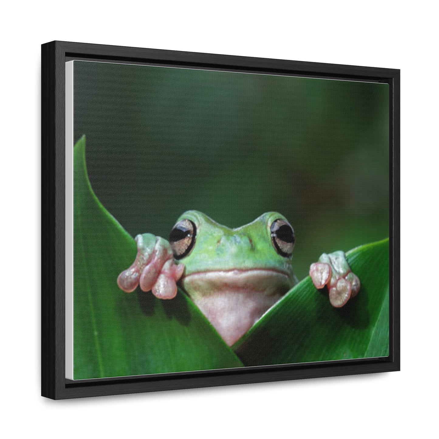 Gallery Canvas Wraps 14"x11", Horizontal Frame Frog