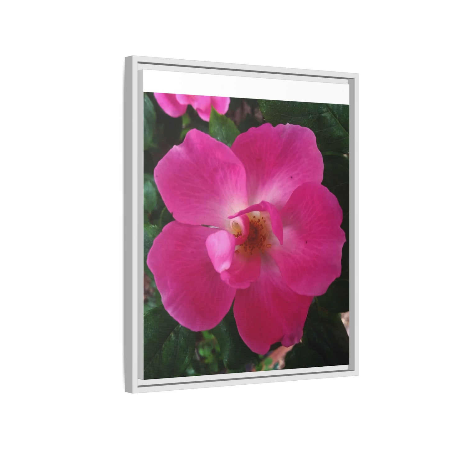 Framed Floral Canvas Art Print | Vibrant Pink Flower Decor, Wall Art for Home, Gift for Her, Mother's Day, Birthday