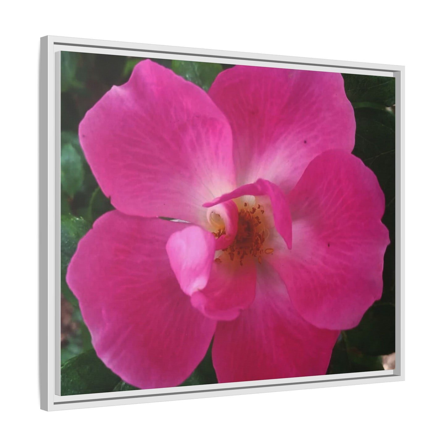 Framed Floral Canvas Art Print | Vibrant Pink Flower Decor, Wall Art for Home, Gift for Her, Mother's Day, Birthday