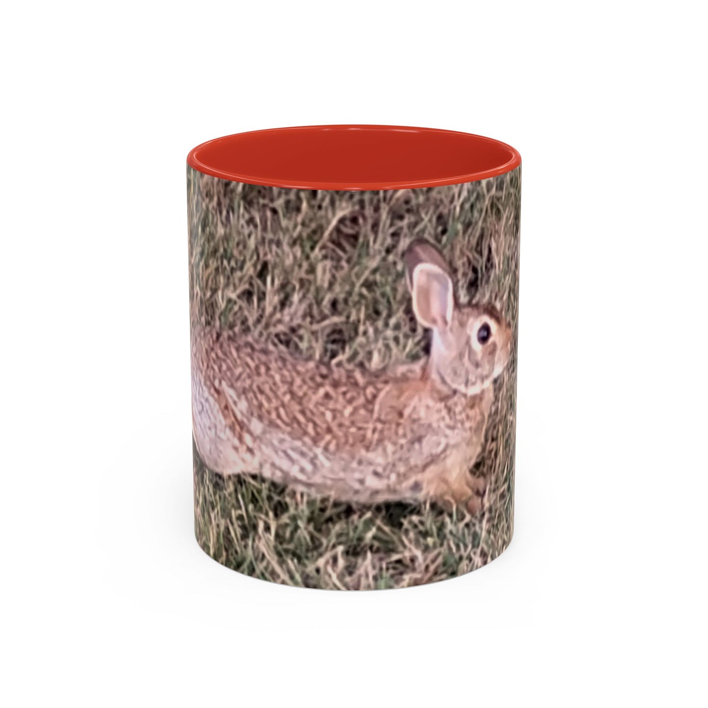 Rabbit Accent Coffee Mug (11oz) Such a Wonderful Birthday Gift!