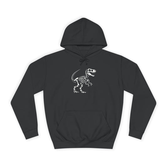 Dinosaur Skeleton Unisex College Hoodie, Casual Wear, Gift for Students, Graphic Hoodie, Trendy Fashion, Birthday Present