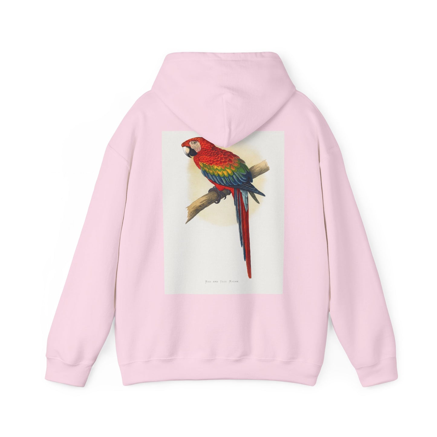 Colorful Parrot & Heart Hoodie - Unisex Heavy Blend Sweatshirt, Tropical Vibe Apparel, Perfect for Animal Lovers, Gift for Birthdays and Holidays