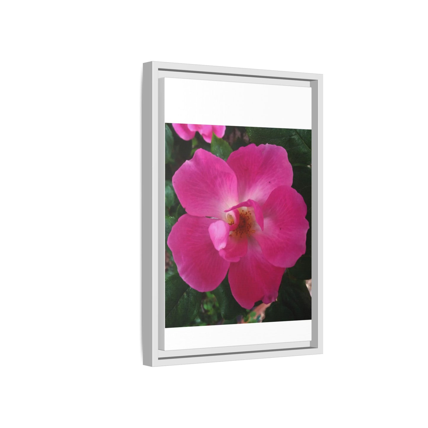 Framed Floral Canvas Art Print | Vibrant Pink Flower Decor, Wall Art for Home, Gift for Her, Mother's Day, Birthday