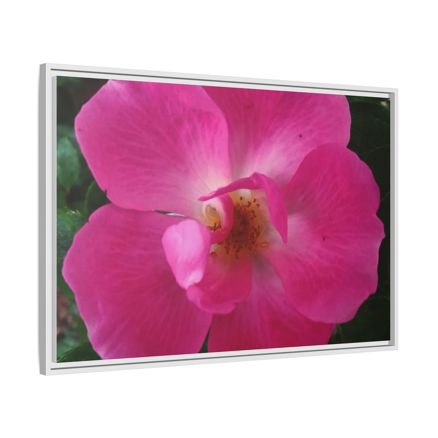 Framed Floral Canvas Art Print | Vibrant Pink Flower Decor, Wall Art for Home, Gift for Her, Mother's Day, Birthday