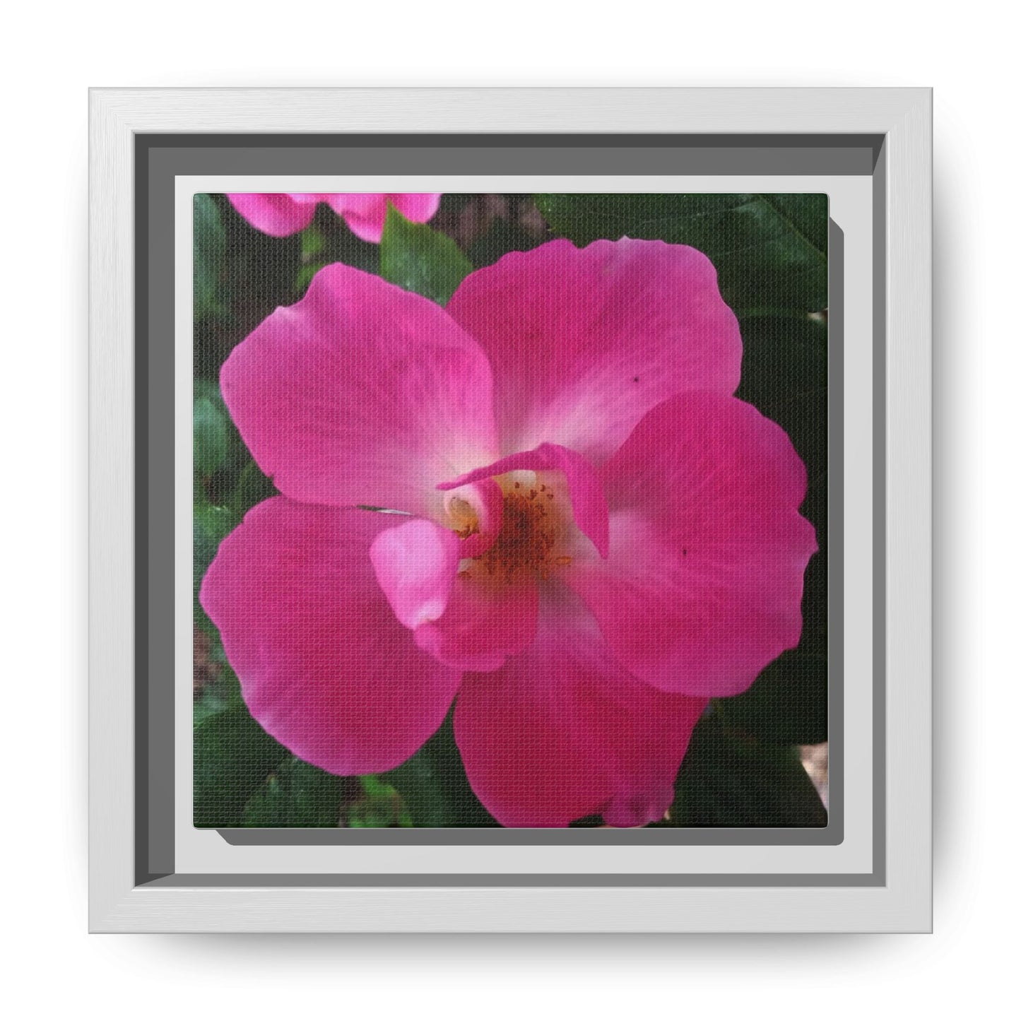 Framed Floral Canvas Art Print | Vibrant Pink Flower Decor, Wall Art for Home, Gift for Her, Mother's Day, Birthday