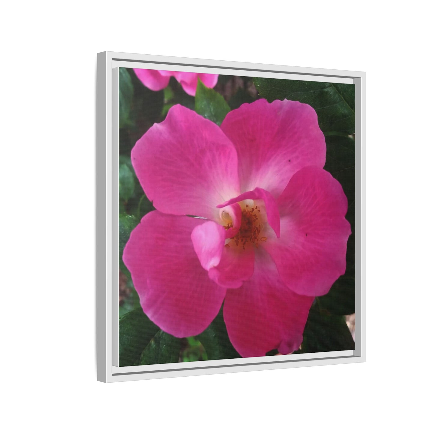 Framed Floral Canvas Art Print | Vibrant Pink Flower Decor, Wall Art for Home, Gift for Her, Mother's Day, Birthday