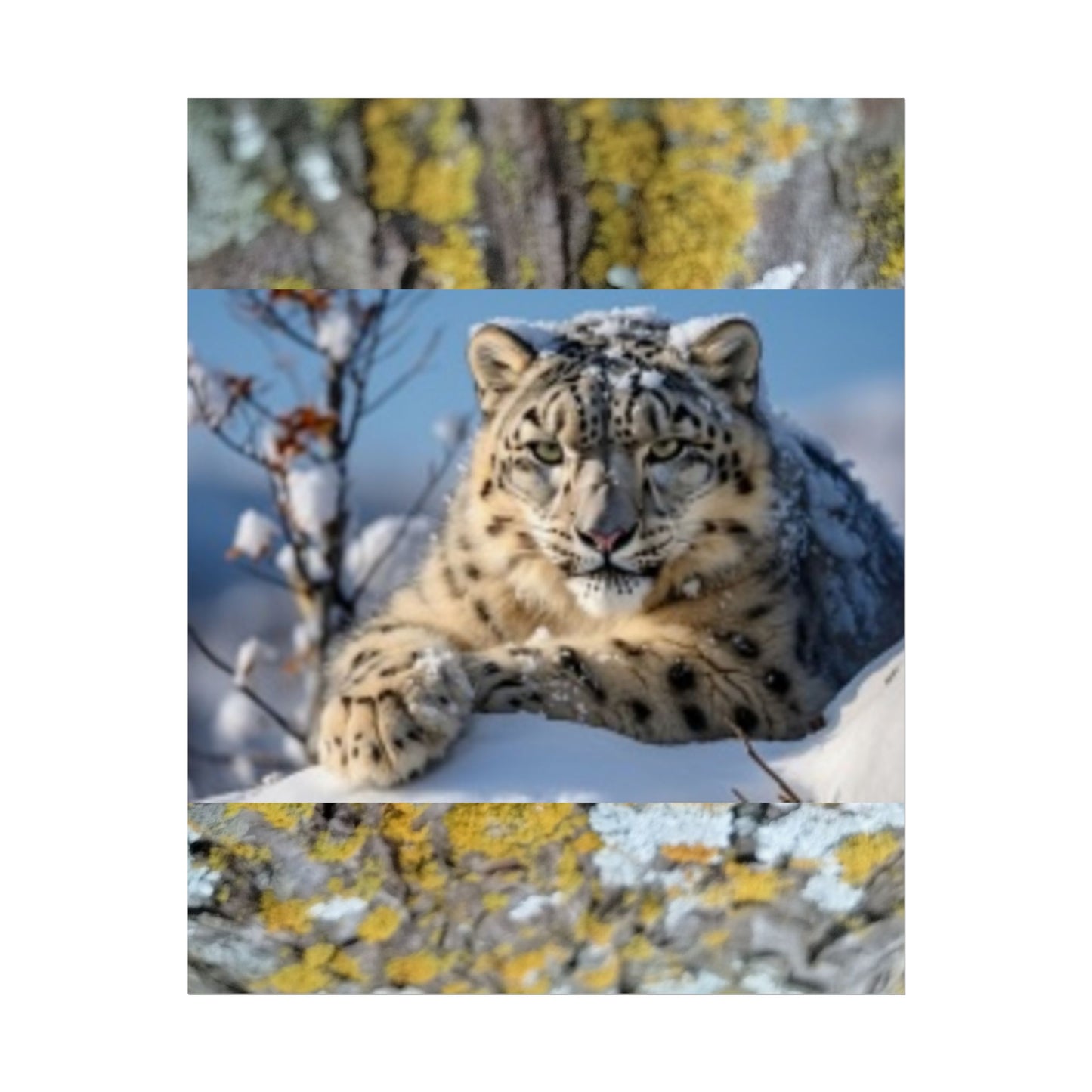 Wildlife Rolled Posters Looks Fabulous in every Room!