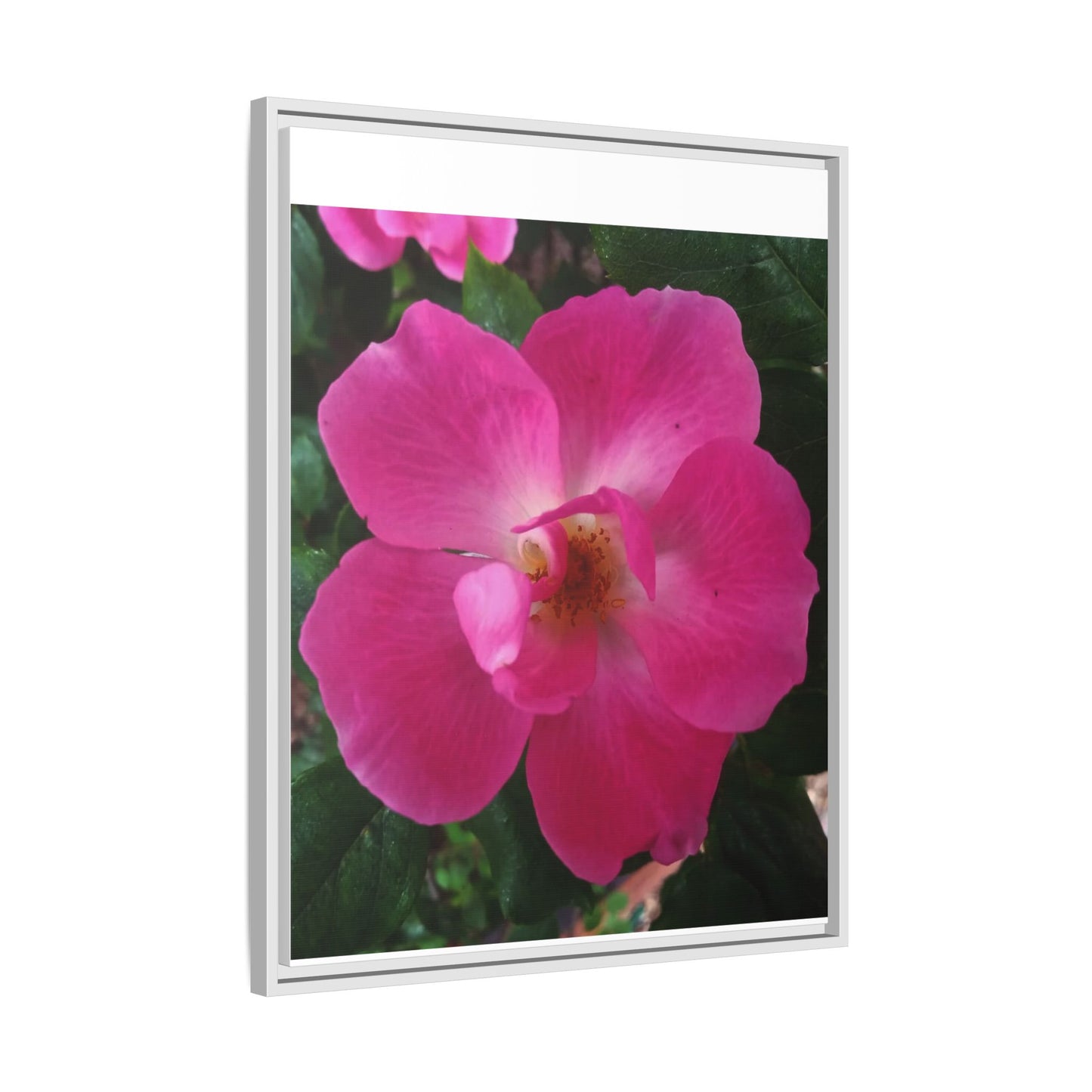 Framed Floral Canvas Art Print | Vibrant Pink Flower Decor, Wall Art for Home, Gift for Her, Mother's Day, Birthday