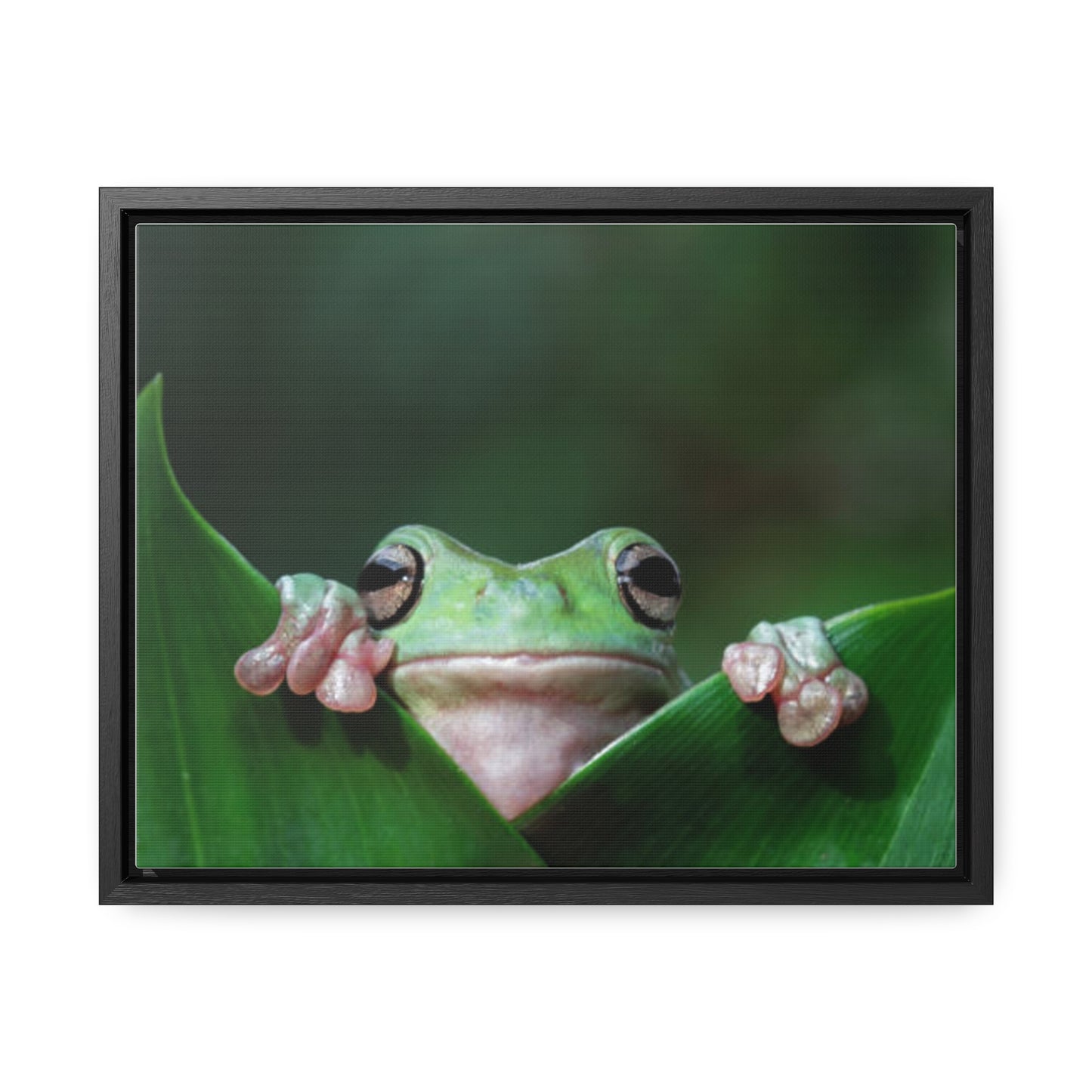 Gallery Canvas Wraps 14"x11", Horizontal Frame Frog