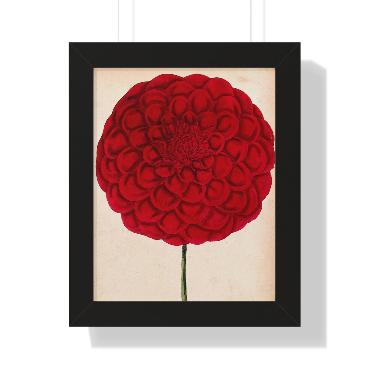 Framed Vertical Poster 11"x14" Red Flower
