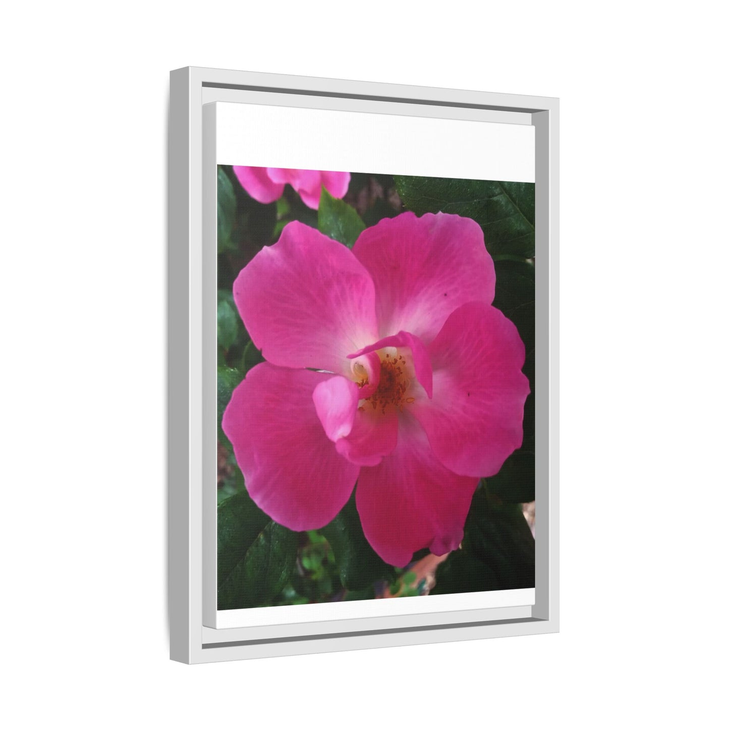 Framed Floral Canvas Art Print | Vibrant Pink Flower Decor, Wall Art for Home, Gift for Her, Mother's Day, Birthday