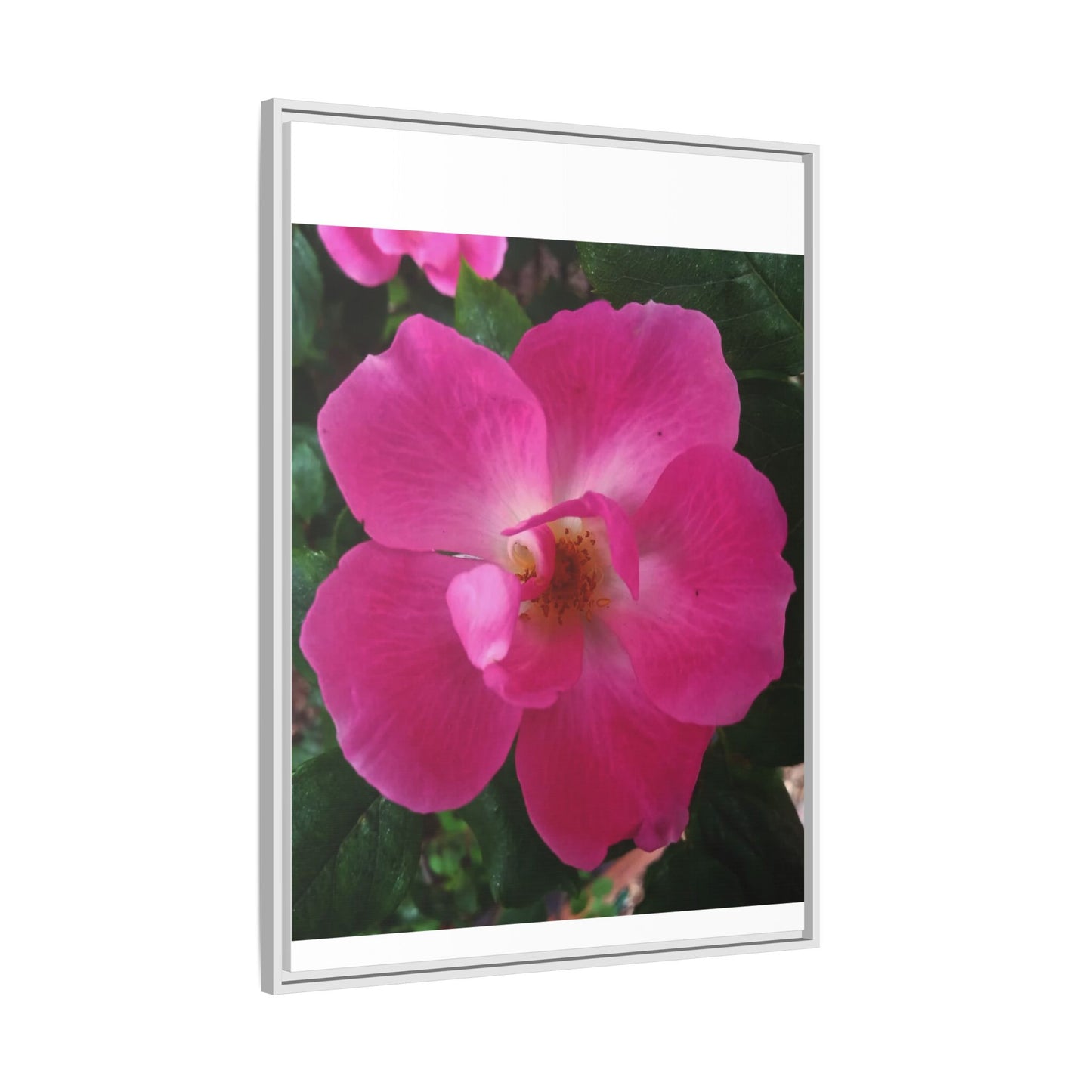 Framed Floral Canvas Art Print | Vibrant Pink Flower Decor, Wall Art for Home, Gift for Her, Mother's Day, Birthday