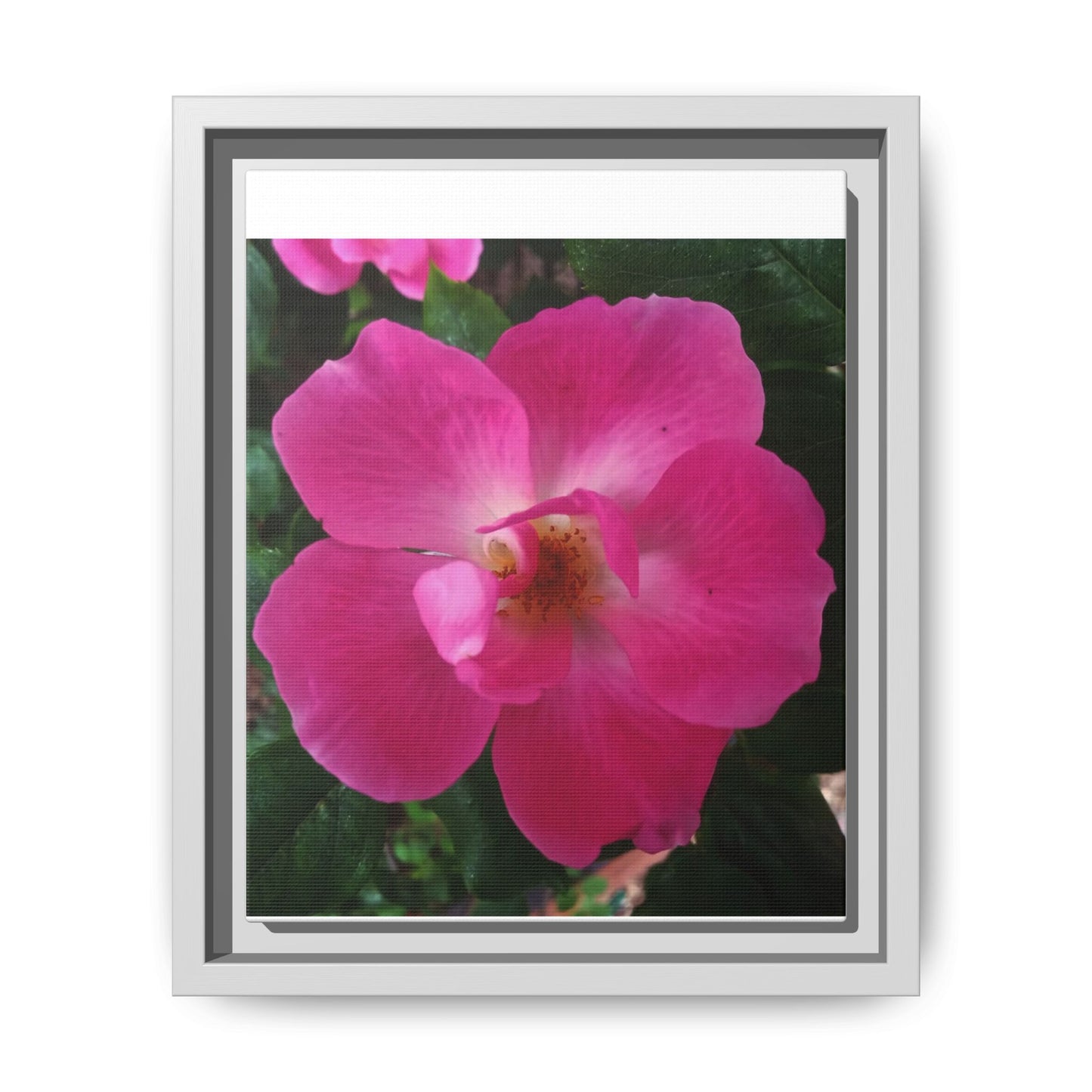 Framed Floral Canvas Art Print | Vibrant Pink Flower Decor, Wall Art for Home, Gift for Her, Mother's Day, Birthday