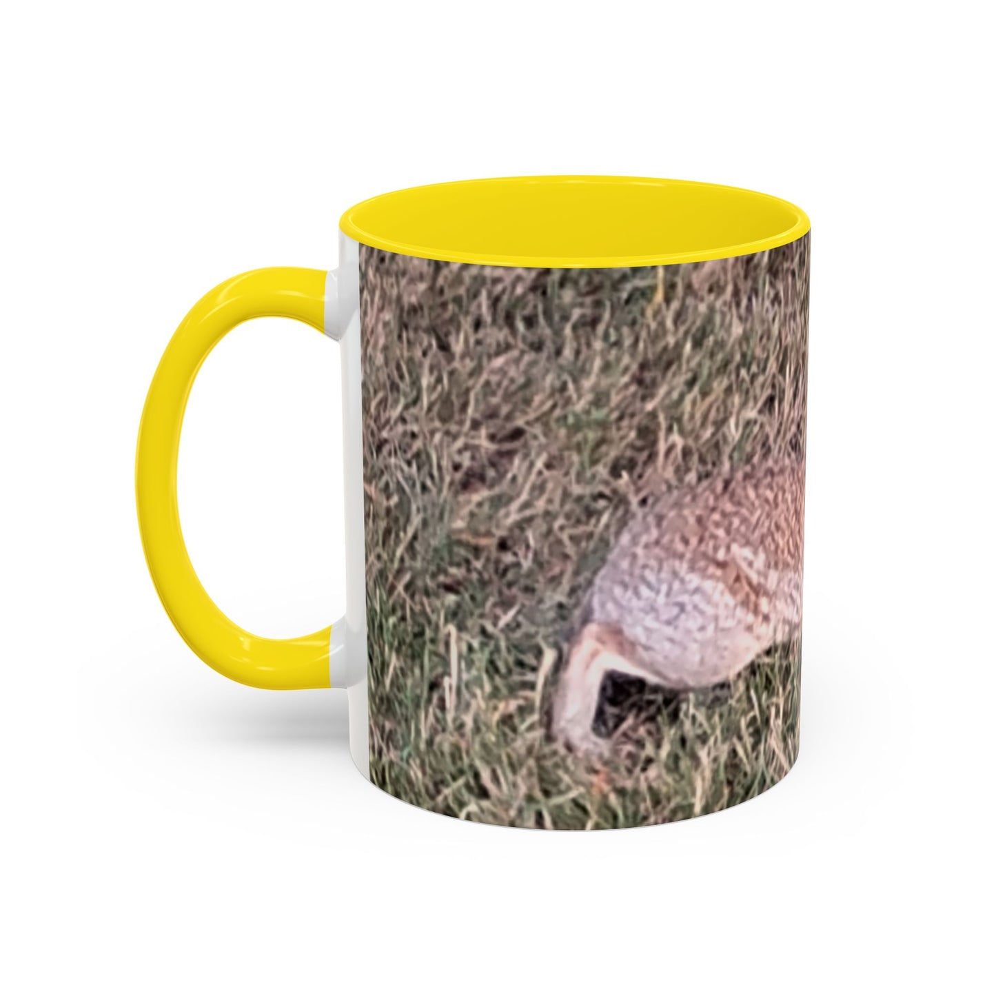 Rabbit Accent Coffee Mug (11oz) Such a Wonderful Birthday Gift!