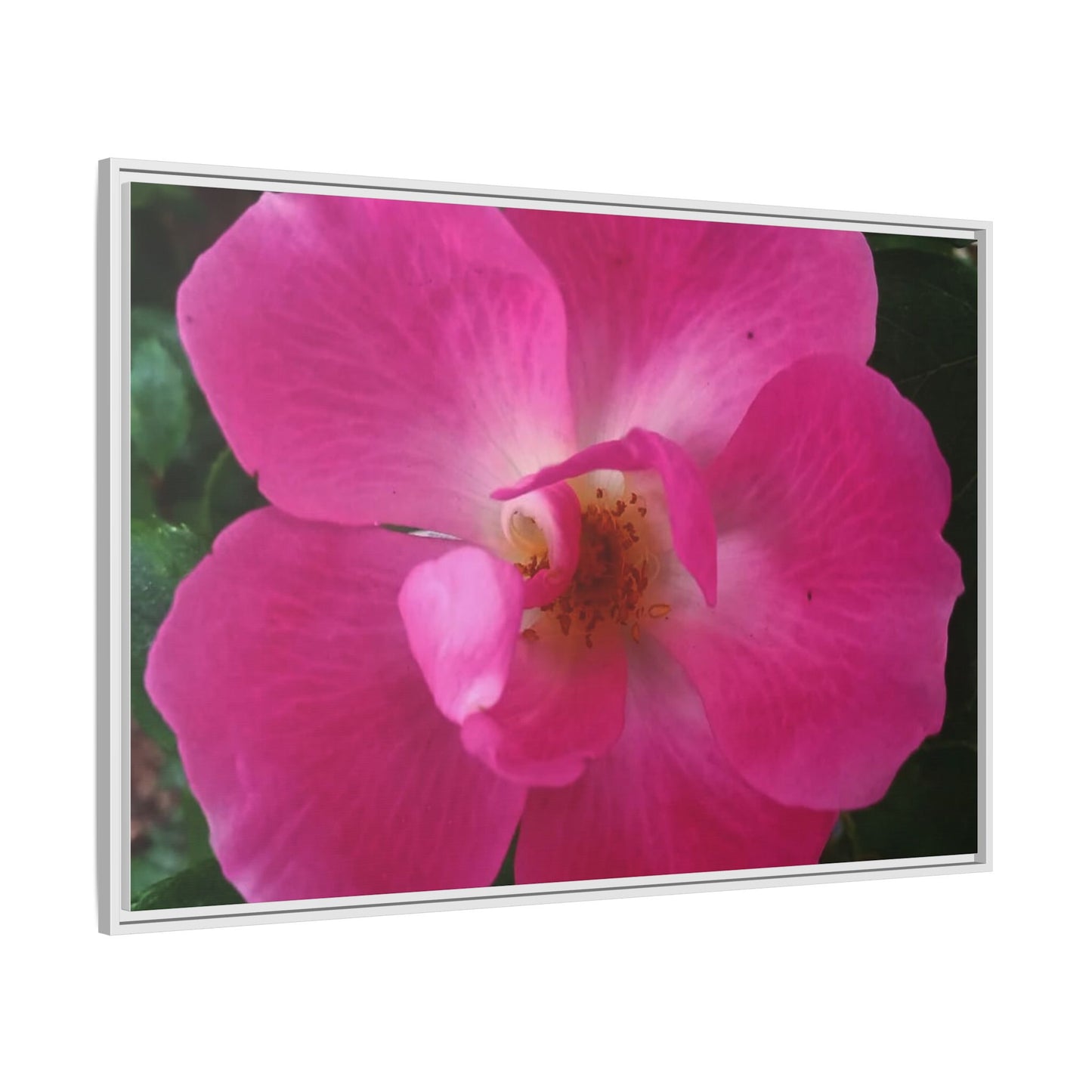 Framed Floral Canvas Art Print | Vibrant Pink Flower Decor, Wall Art for Home, Gift for Her, Mother's Day, Birthday