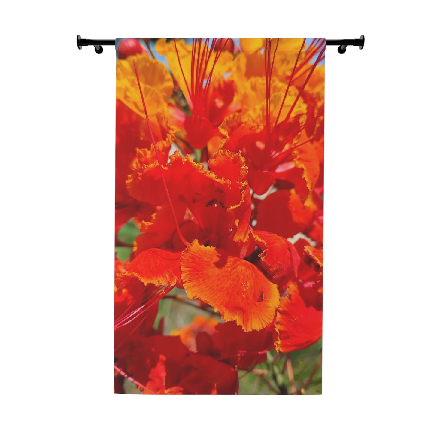 Vibrant Orange Flowers Window Curtains (1 Piece)