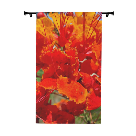 Vibrant Orange Flowers Window Curtains (1 Piece)