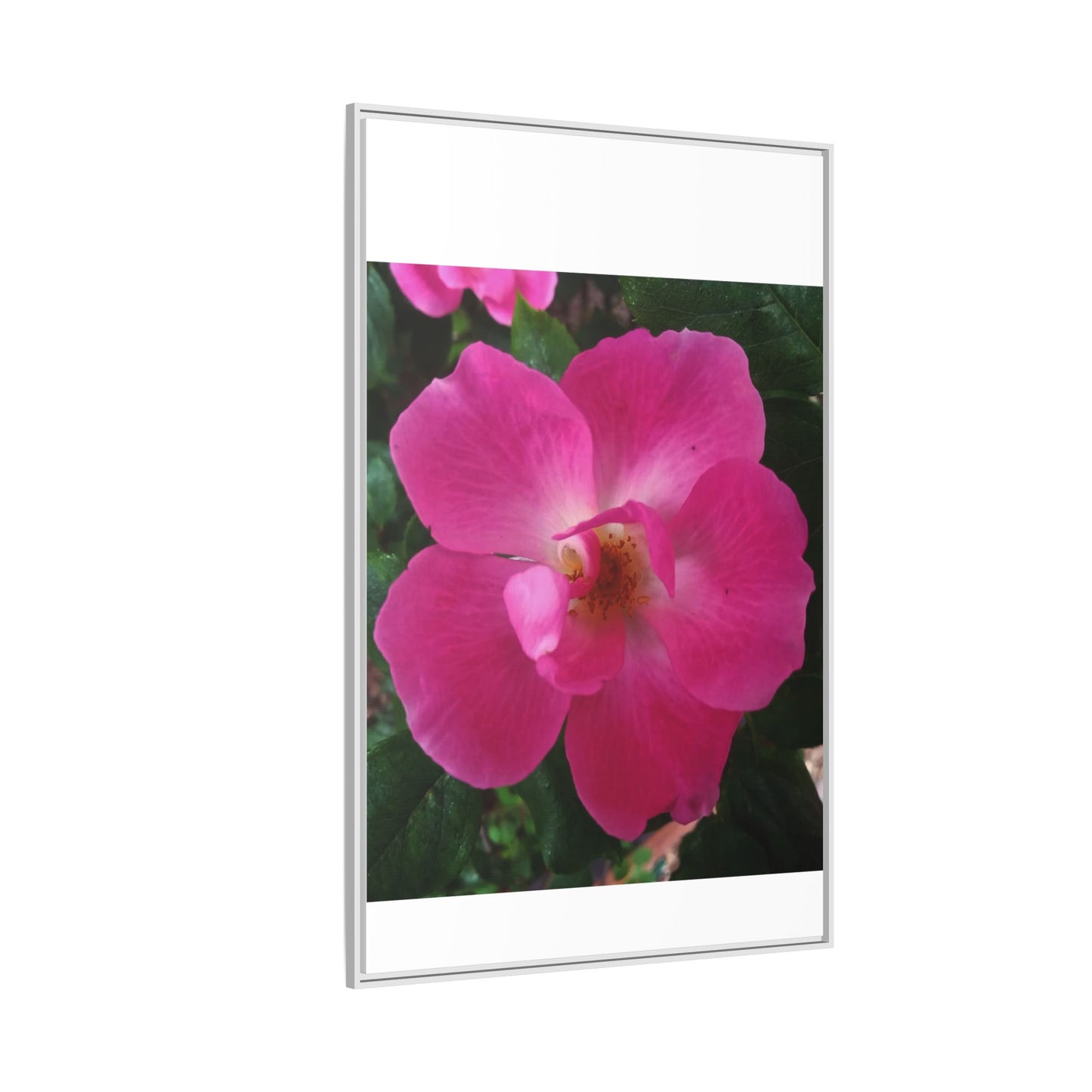 Framed Floral Canvas Art Print | Vibrant Pink Flower Decor, Wall Art for Home, Gift for Her, Mother's Day, Birthday