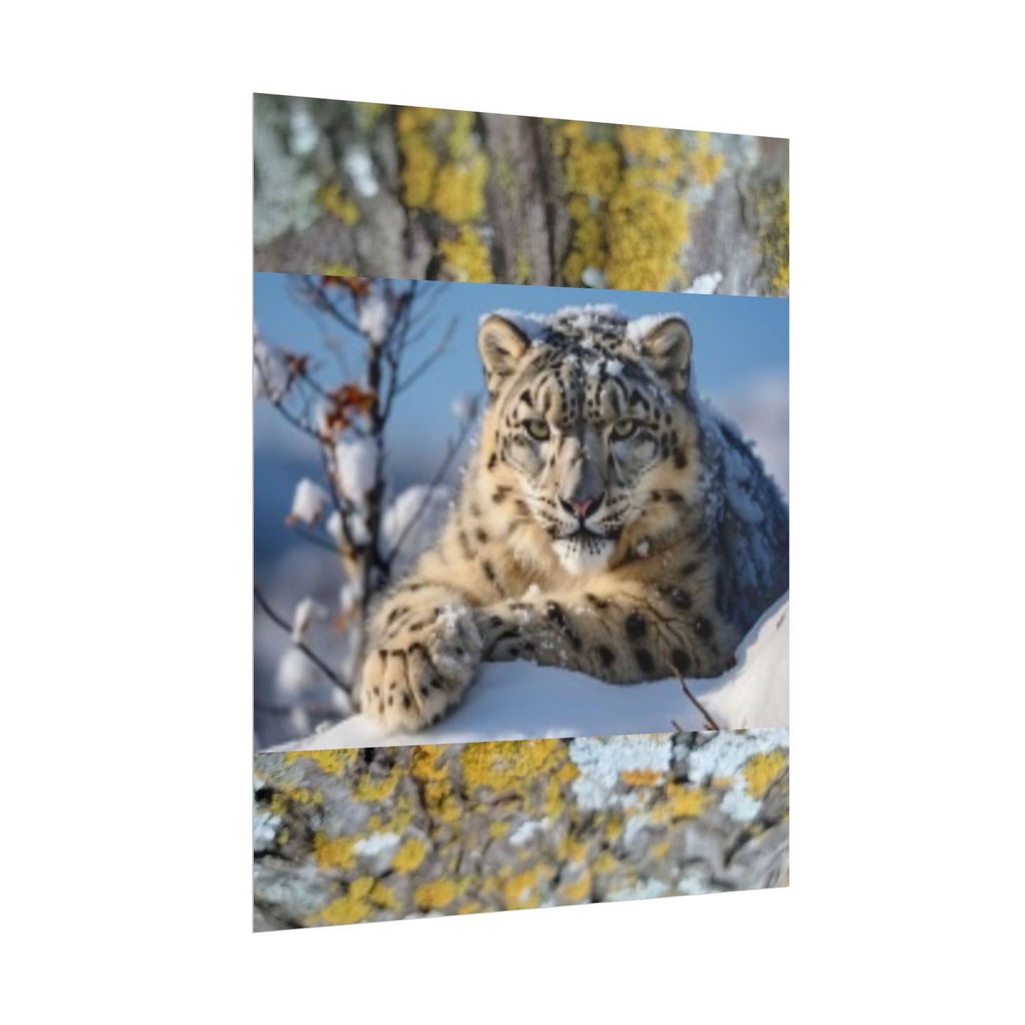 Wildlife Rolled Posters Looks Fabulous in every Room!