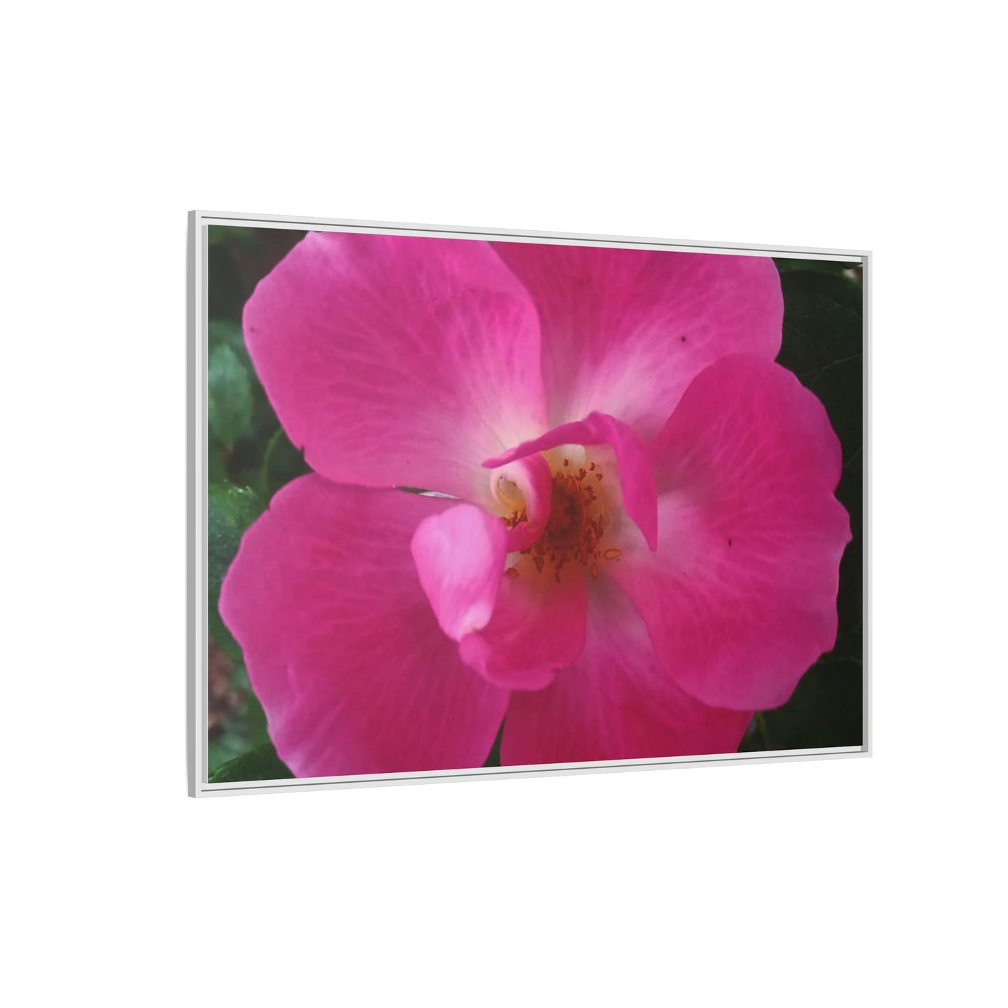 Framed Floral Canvas Art Print | Vibrant Pink Flower Decor, Wall Art for Home, Gift for Her, Mother's Day, Birthday