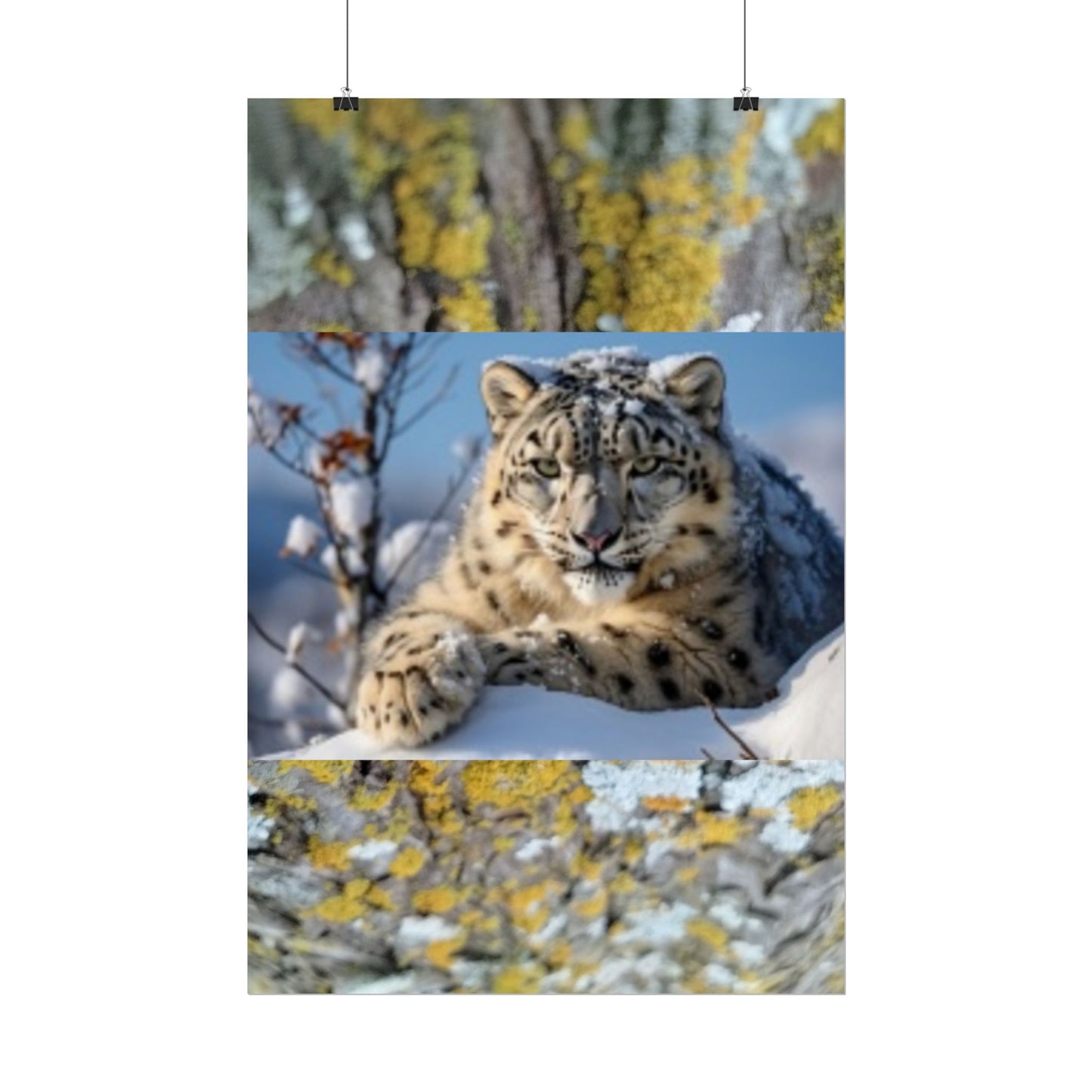 Wildlife Rolled Posters Looks Fabulous in every Room!