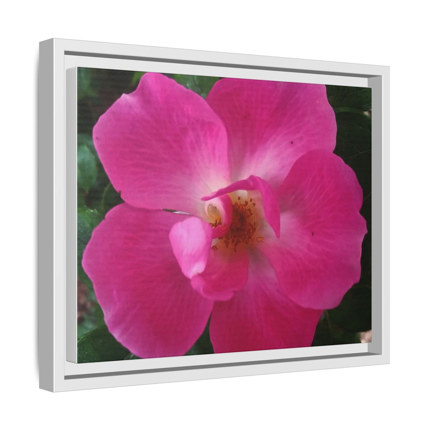 Framed Floral Canvas Art Print | Vibrant Pink Flower Decor, Wall Art for Home, Gift for Her, Mother's Day, Birthday