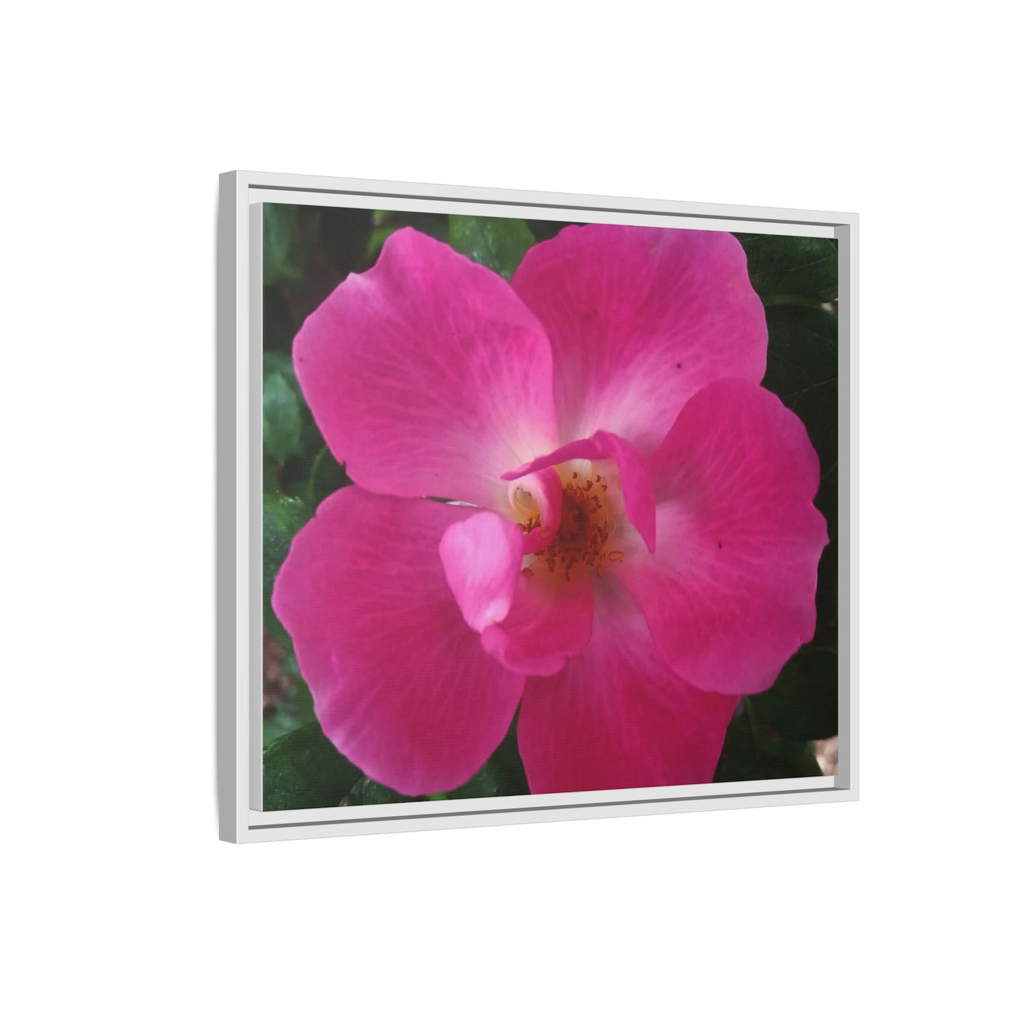 Framed Floral Canvas Art Print | Vibrant Pink Flower Decor, Wall Art for Home, Gift for Her, Mother's Day, Birthday