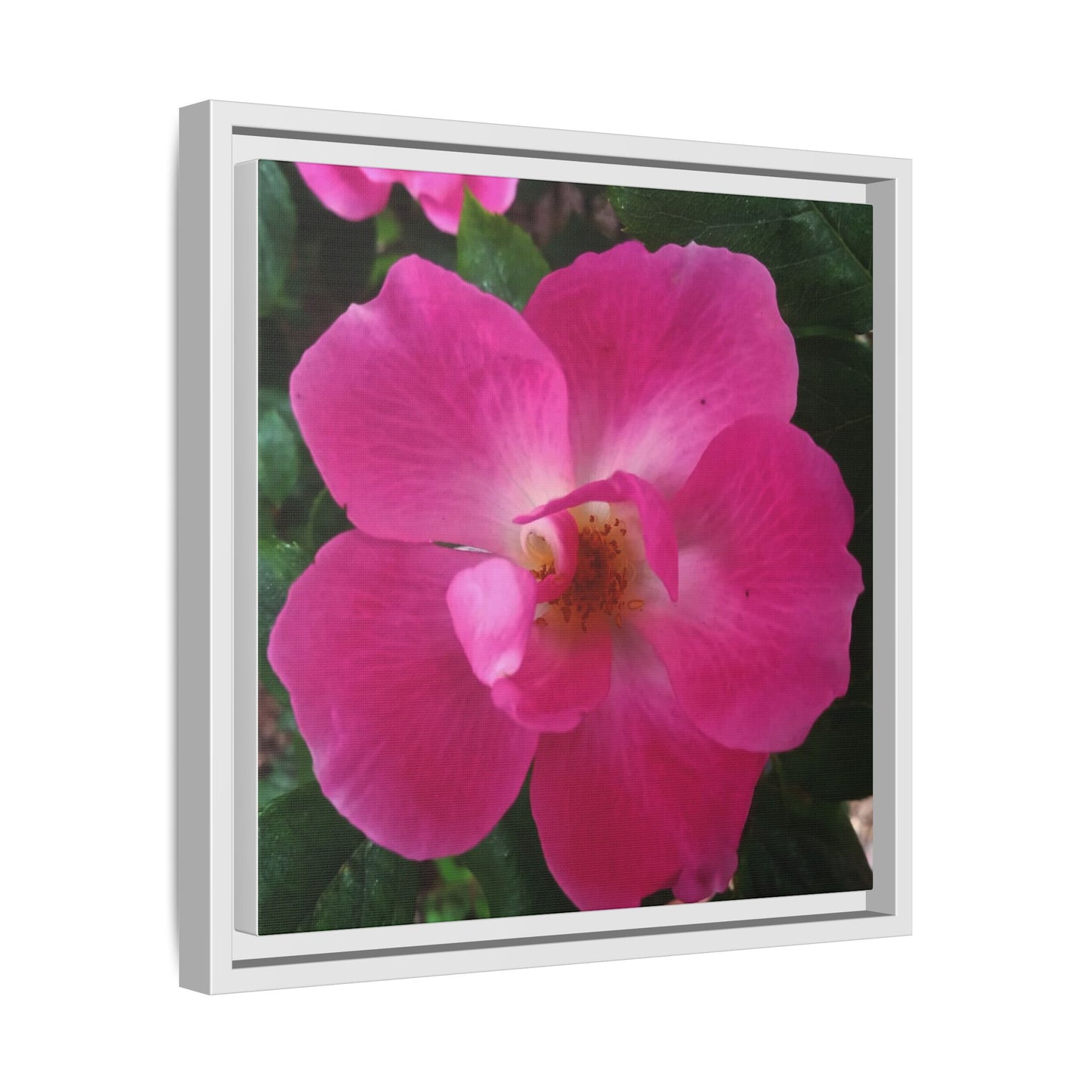 Framed Floral Canvas Art Print | Vibrant Pink Flower Decor, Wall Art for Home, Gift for Her, Mother's Day, Birthday