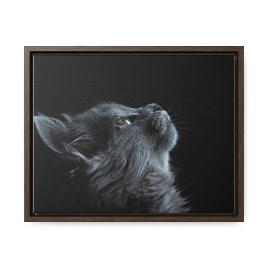 Gallery Canvas Wraps, Horizontal Frame