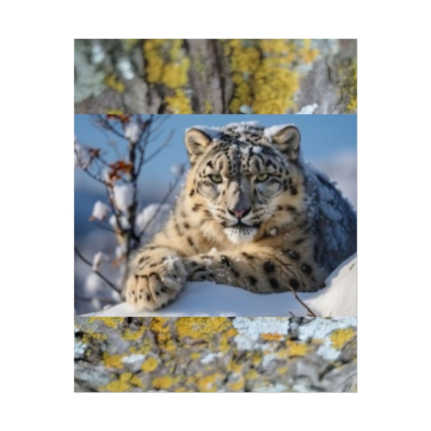 Wildlife Rolled Posters Looks Fabulous in every Room!