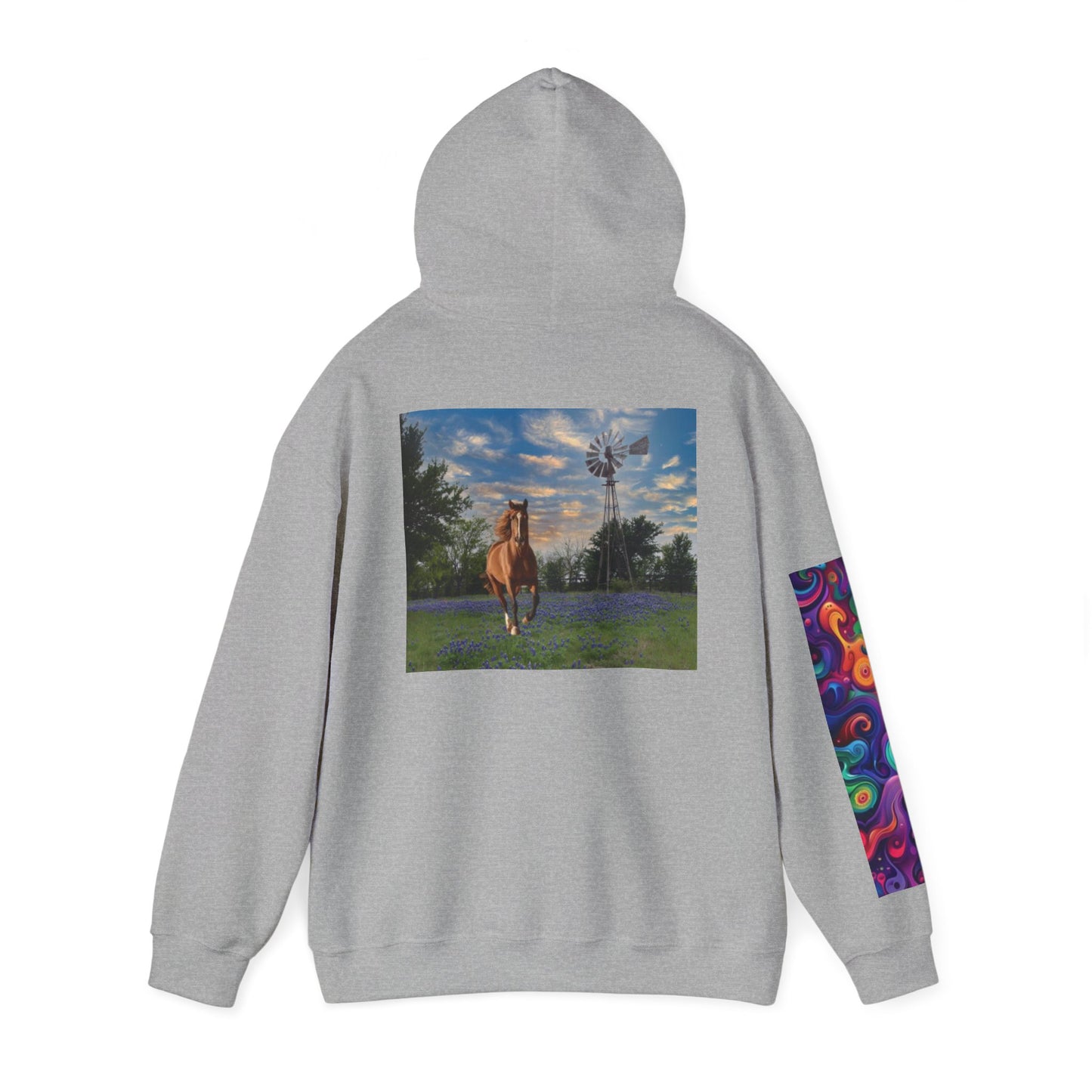 Sweat à capuche unisexe inspiré du Texas avec manches colorées 