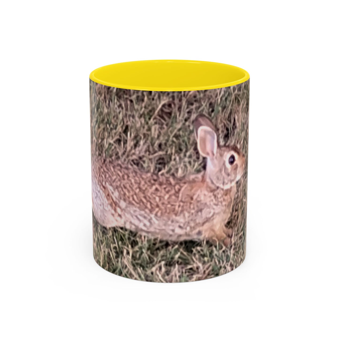 Rabbit Accent Coffee Mug (11oz) Such a Wonderful Birthday Gift!