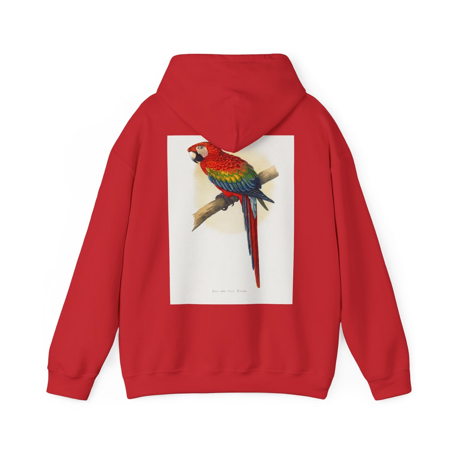 Colorful Parrot & Heart Hoodie - Unisex Heavy Blend Sweatshirt, Tropical Vibe Apparel, Perfect for Animal Lovers, Gift for Birthdays and Holidays