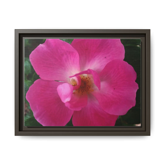 Framed Floral Canvas Art Print | Vibrant Pink Flower Decor, Wall Art for Home, Gift for Her, Mother's Day, Birthday